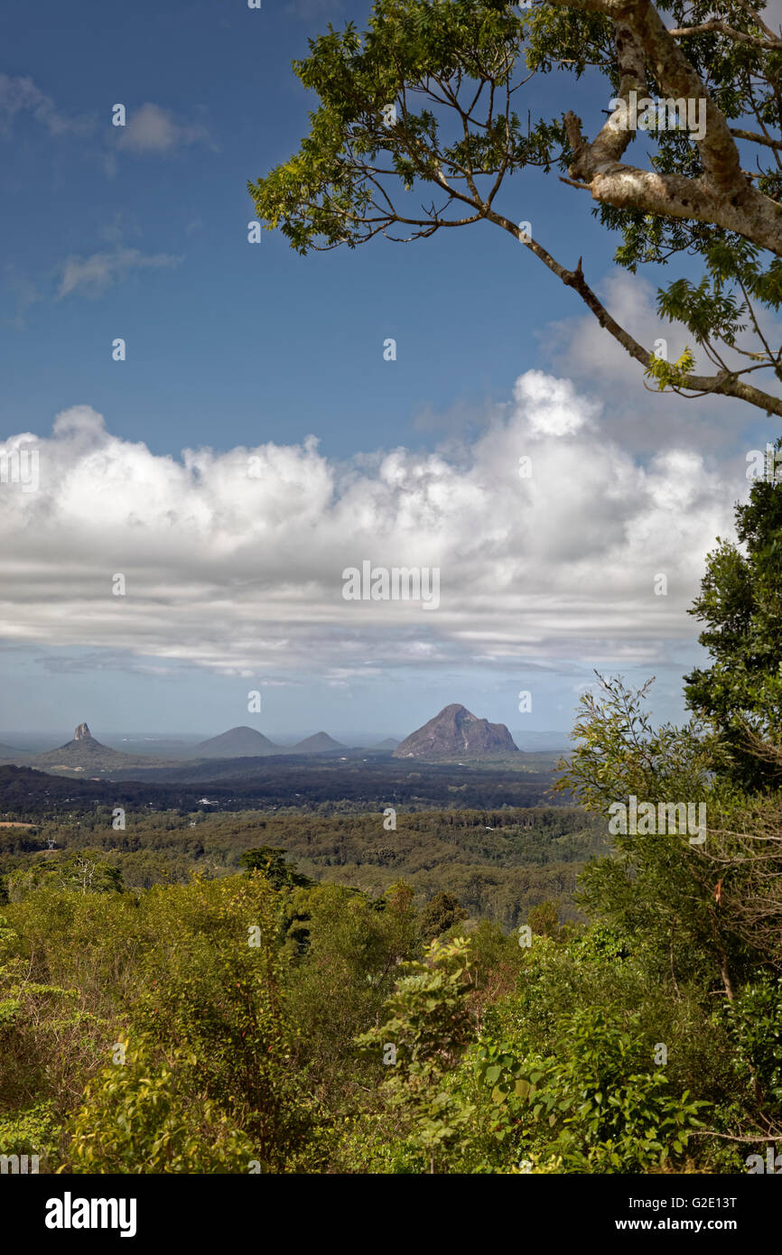 Paesaggio in casa di vetro Mountains National Park, Brisbane, Queensland, Australia Foto Stock