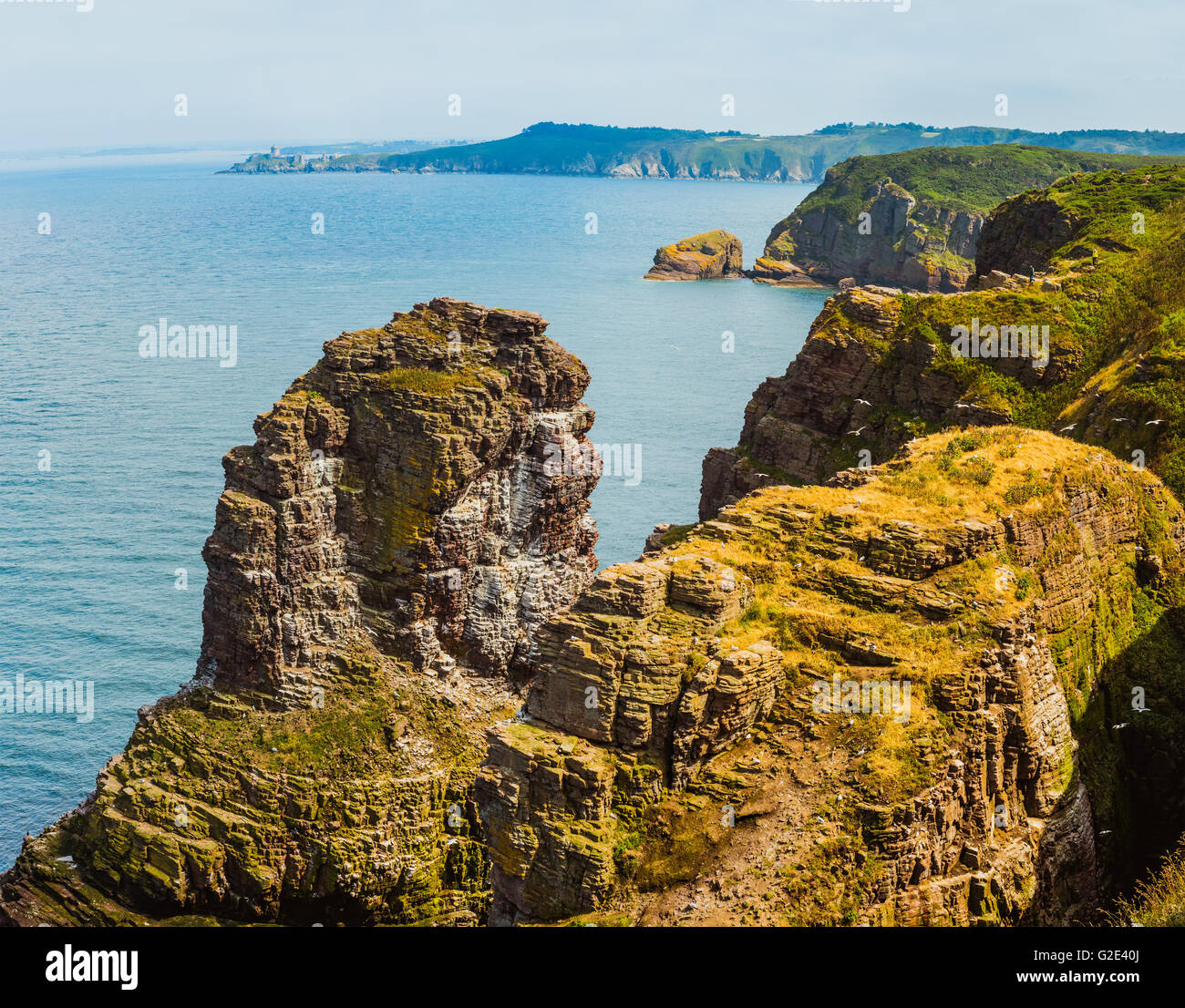 Il paesaggio costiero Bretagne, Francia Foto Stock