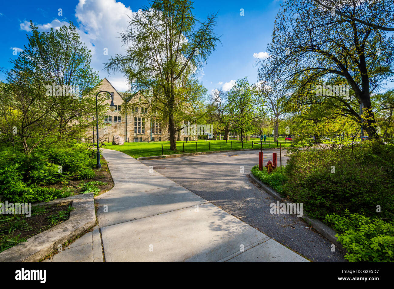 Camminamenti e alberi presso l Università di Toronto, a Toronto, Ontario. Foto Stock