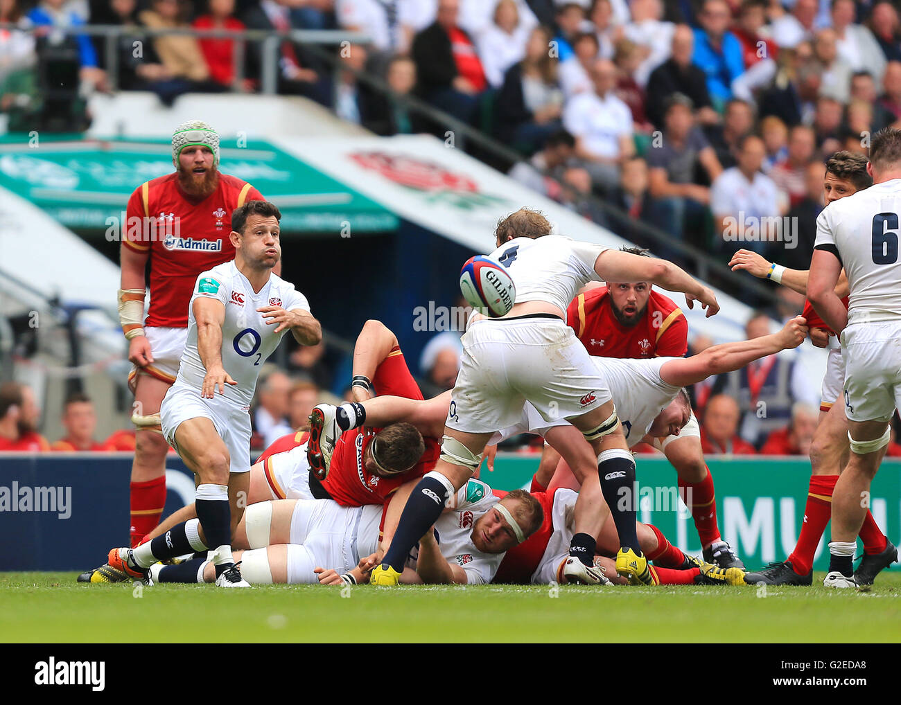 29.05.2016. Stadio di Twickenham, Londra, Inghilterra. Old Mutual Rugby. Tra Inghilterra e Galles. Inghilterra&#x2019;s Danny Care passa Foto Stock