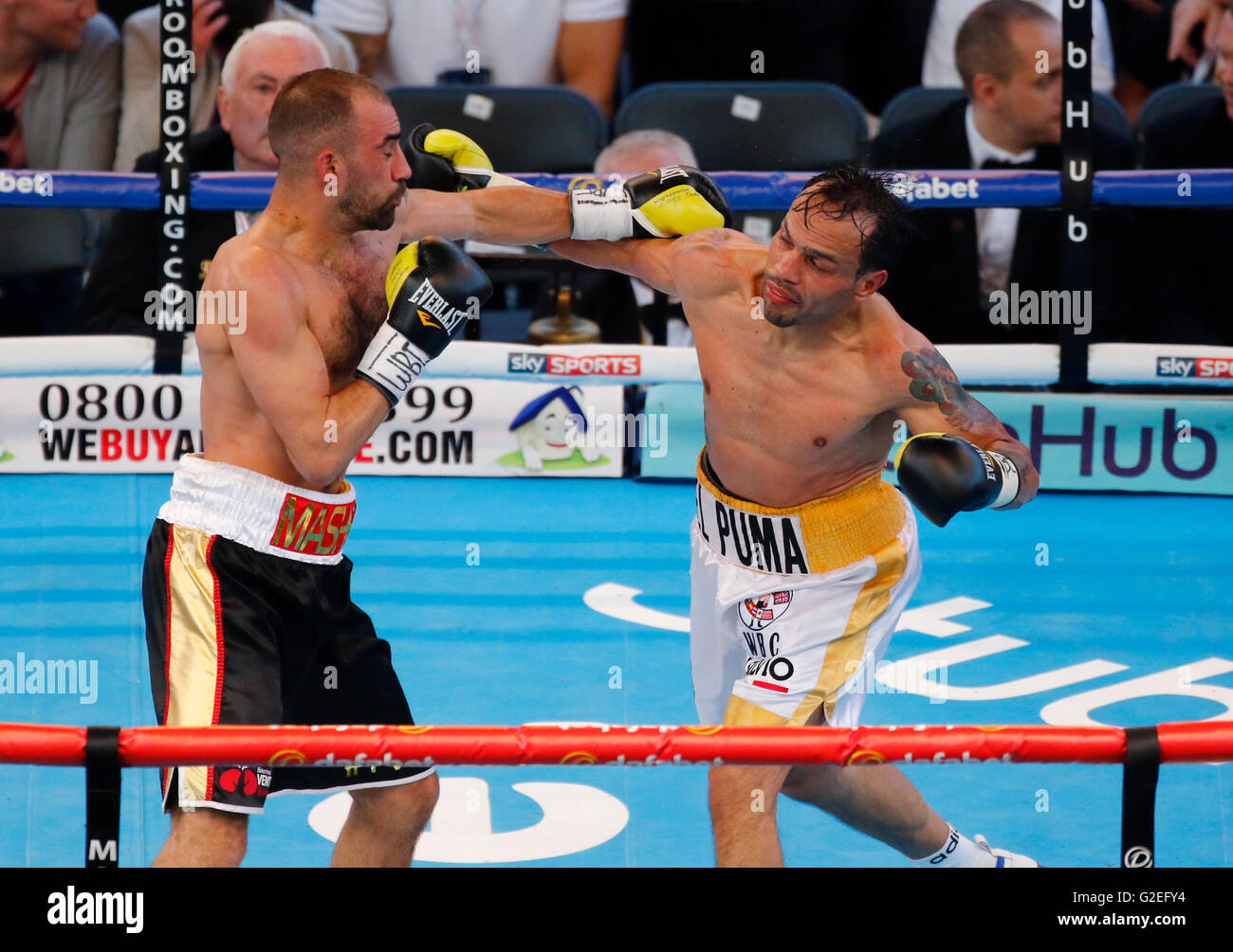 Goodison Park, Liverpool, Regno Unito. 29 Maggio, 2016. La WBA Intercontinental titolo leggero. Sean Dodd versus Pasquale di Silvio. Combattente locale Sean &#x2018;trituratore' Dodd (pantaloncini neri) dritto a sinistra per Pasquale di Silvio d'Italia durante la loro lotta per il vacante WBA Intercontinental titolo leggero sul undercard per il Bellew vs Makabu WBC Cruiserweight campionato mondiale di lotta. Dodd ha vinto su punti dopo dieci tornate. Credito: Azione Sport Plus/Alamy Live News Foto Stock