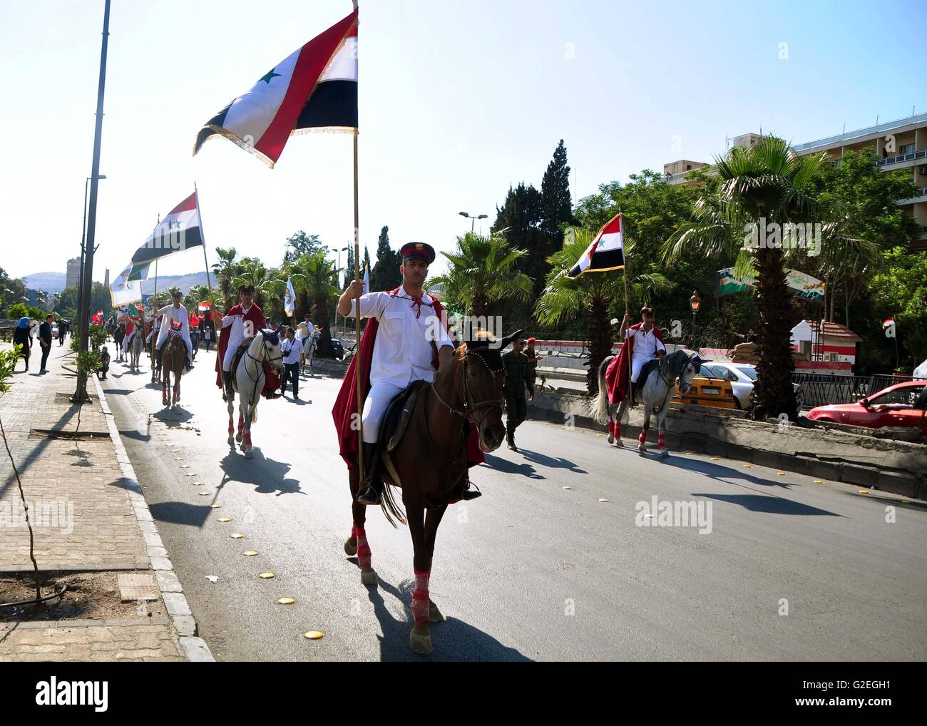 Damasco, Siria. 29 Maggio, 2016. Volontari siriano attesa bandiere Siriane e corsa dei cavalli in Damasco Capitale della Siria, il 29 maggio 2016. La sfilata di cavalli si è tenuto a contrassegnare la settantunesima anniversario della sicurezza interna giornata di forza. © Ammar/Xinhua/Alamy Live News Foto Stock