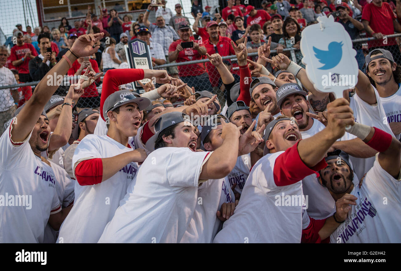 Albuquerque, Nuovo Messico, Stati Uniti d'America. 28 Maggio, 2016. Journal.L'Università del New Mexico Lobos posare per un team selfie con lui Mountain West Conference trophy sabato sera dopo aver sconfitto il Nevada a Santa Ana Star Field.Albuquerque, New Mexico © Roberto E. Rosales/Albuquerque ufficiale/ZUMA filo/Alamy Live News Foto Stock