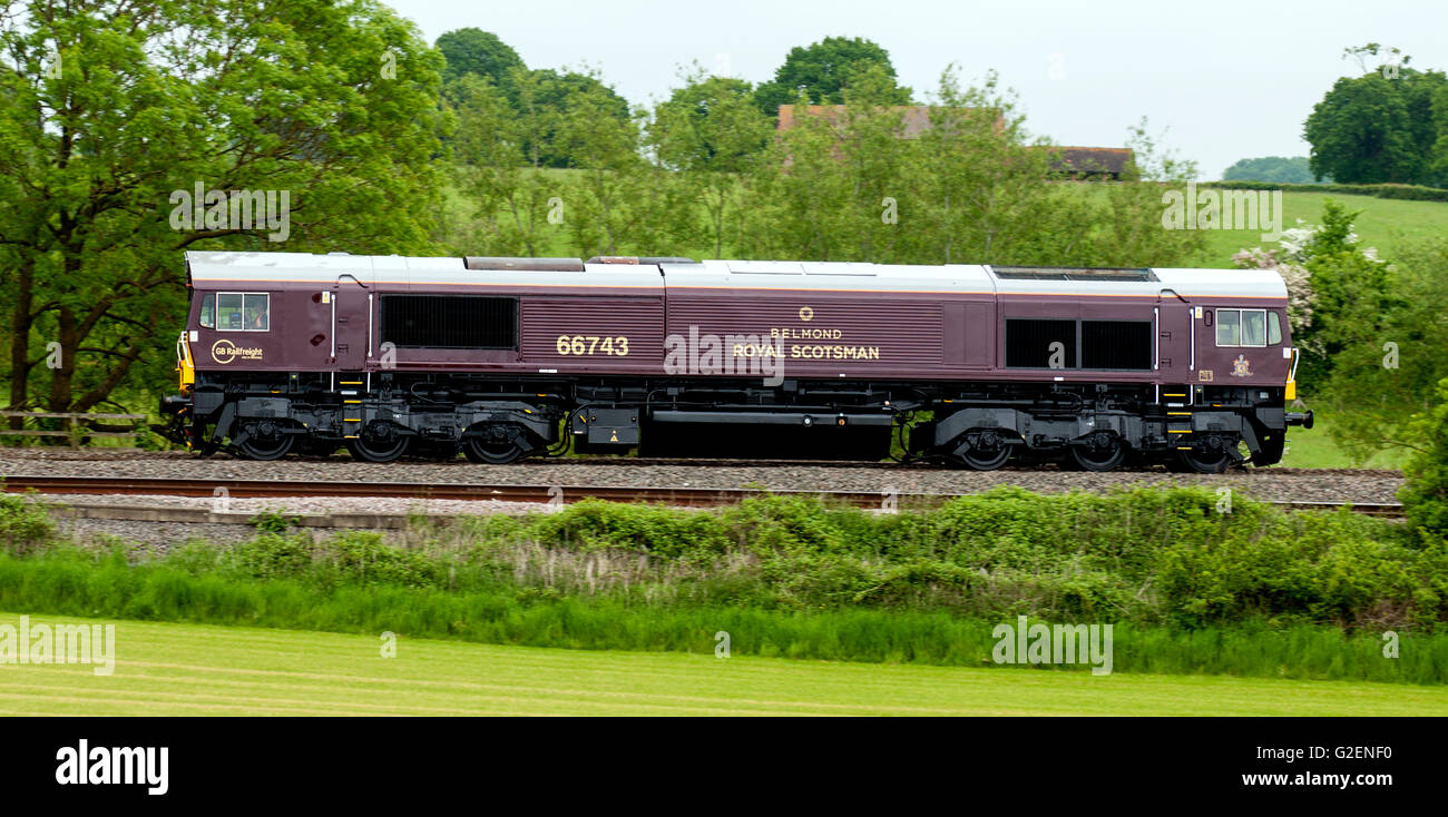 Il 30 maggio 2016. Warwickshire, Inghilterra, Regno Unito. Risplende Belmond Royal Scotsman livrea appena applicato a Eastleigh Opere, Southampton, classe 66 locomotiva diesel n. 66743 passa attraverso la campagna del Warwickshire sul suo modo nord a tirare i treni turistici attraverso le Highlands della Scozia. Credito: Colin Underhill/Alamy Live News Foto Stock