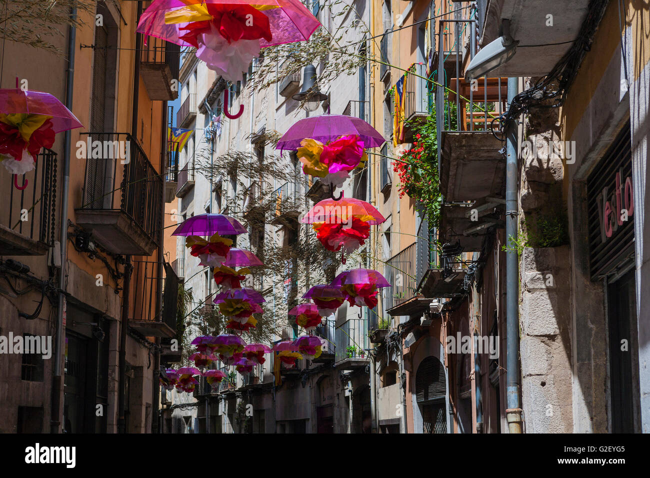 Arte floreale mostra a Girona. La Catalogna. Spagna. Foto Stock