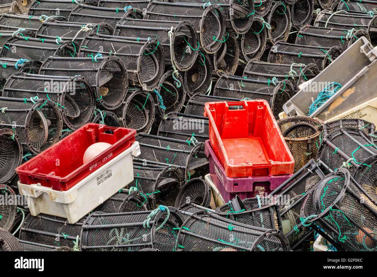 Aragosta impilati vasi e cassette in Glengarriff Harbour, Bantry Bay, penisola di Beara, County Cork, Provincia di Munster, Irlanda. Foto Stock