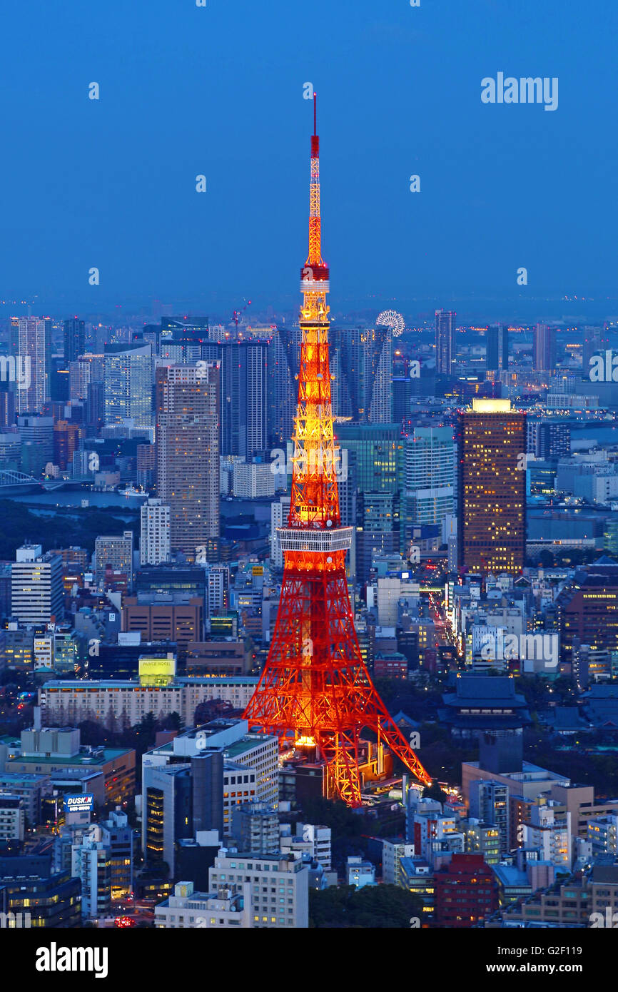 In generale lo skyline della città vista notturna con la Torre di Tokyo di Tokyo, Giappone Foto Stock