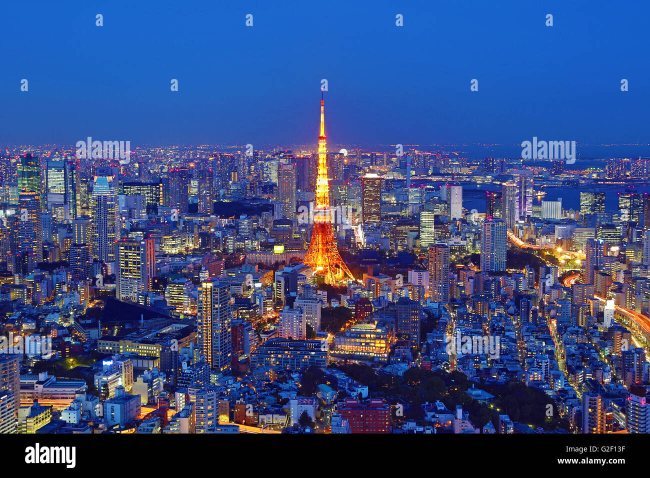 In generale lo skyline della città vista notturna con la Torre di Tokyo di Tokyo, Giappone Foto Stock