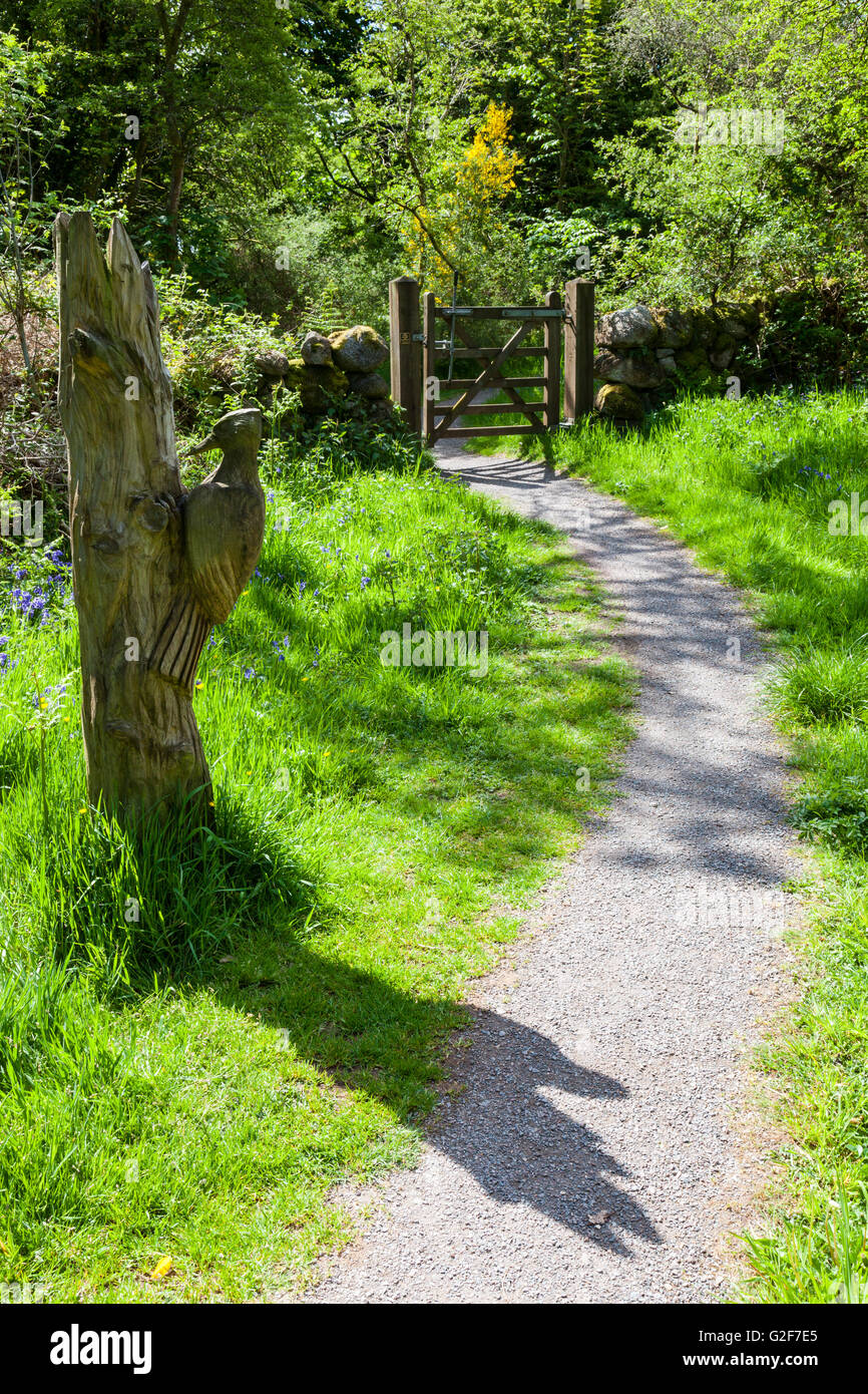 Scultura Woodpecker su un sentiero vicino a Mote of Mark, Rockcliffe, Dumfries & Galloway, Scozia Foto Stock