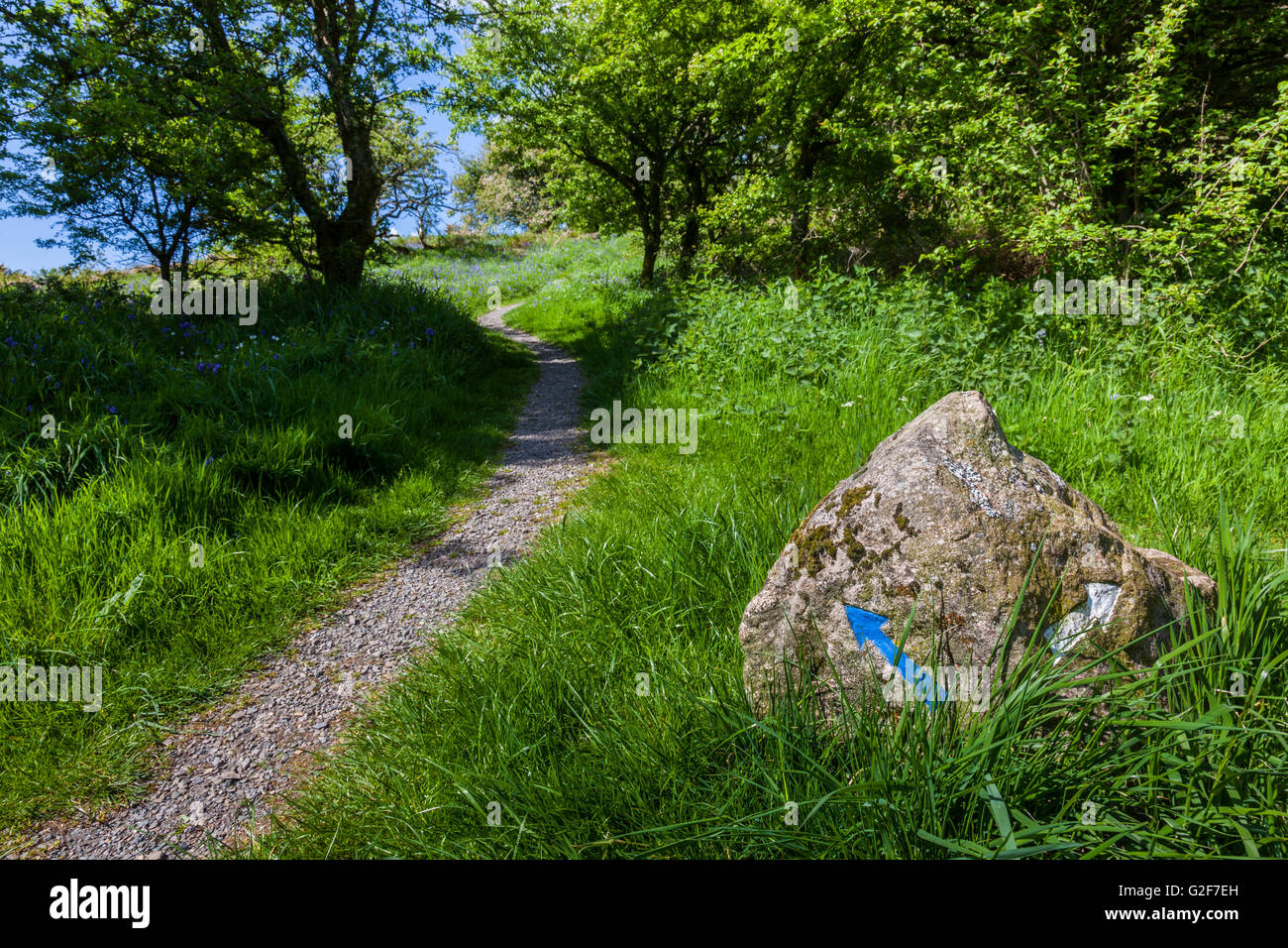 Percorso incrocio vicino la pagliuzza di Mark, vicino Rockcliffe, Dumfries & Galloway, Scozia Foto Stock