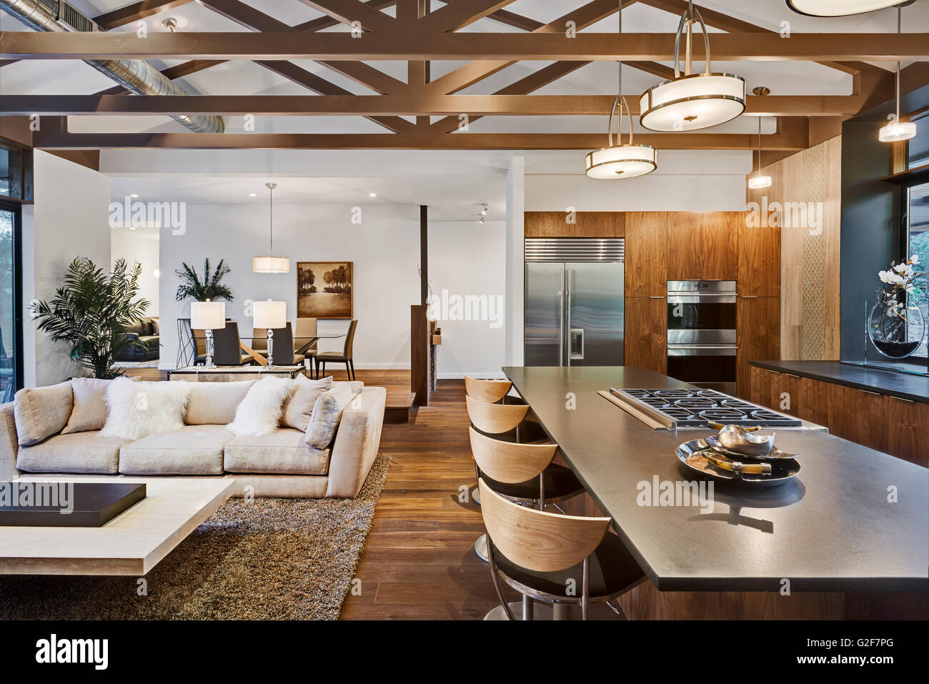 Piano aperto di casa con cucina, soggiorno e sala da pranzo Foto Stock