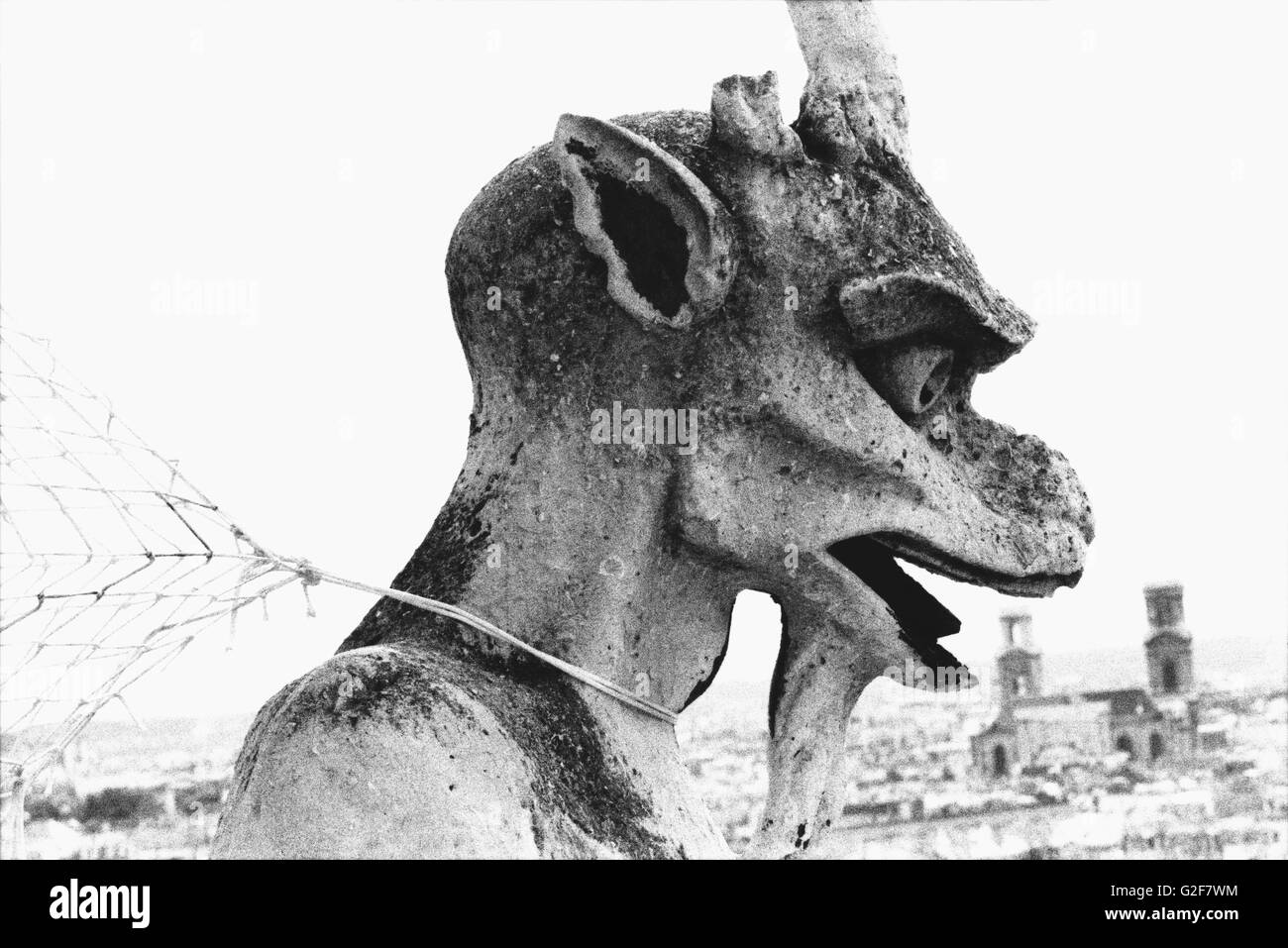 Gargoyle, Notre Dame, Paris, Francia Foto Stock