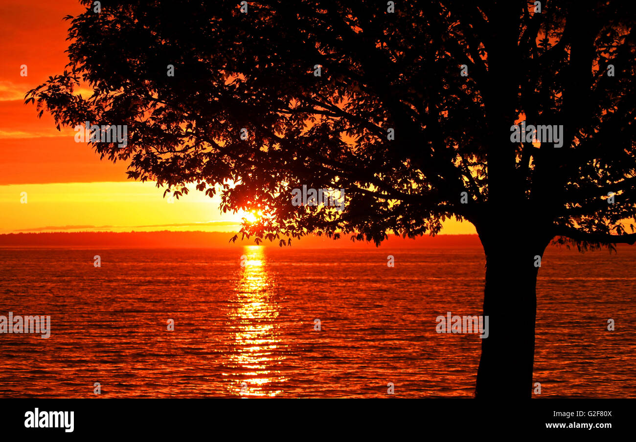 Tramonto sul Puget Sound Foto Stock