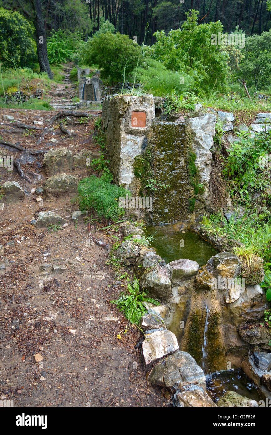 Modi di acqua nella foresta, Fuente Jarapalo, nelle montagne di Mijas, Andalusia, Spagna, Alhaurin. Foto Stock