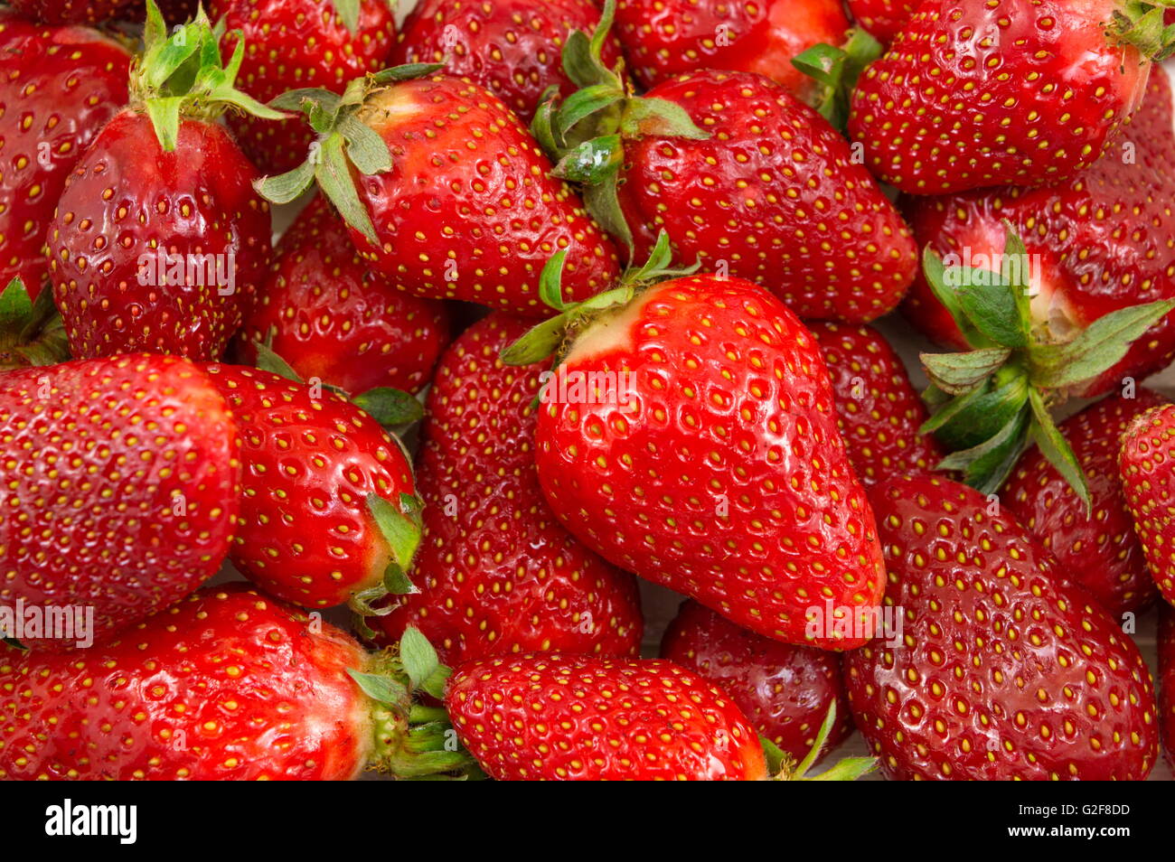 Mazzetto di fresco e dolce fragole close up Foto Stock