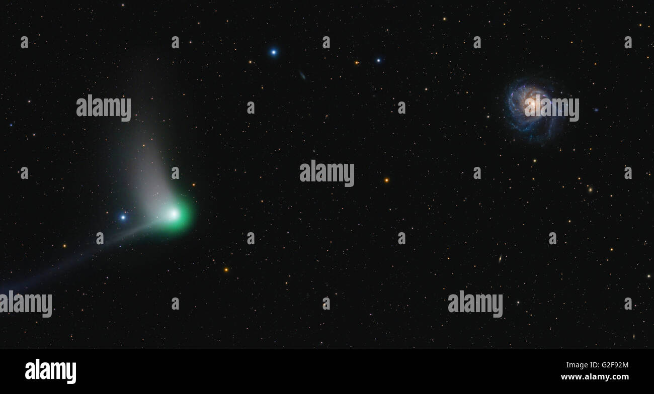 La cometa C/2013 (Catalina) sabbiatura attraverso il Big Dipper vicino la linea di veduta della M101 girandola di Galaxy. Foto Stock