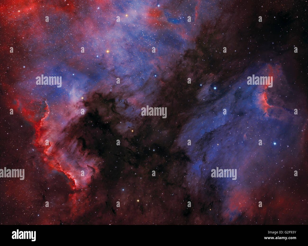 L'America del nord Nebula (NGC 7000) e il pellicano nebulosa nella costellazione del Cigno. Foto Stock