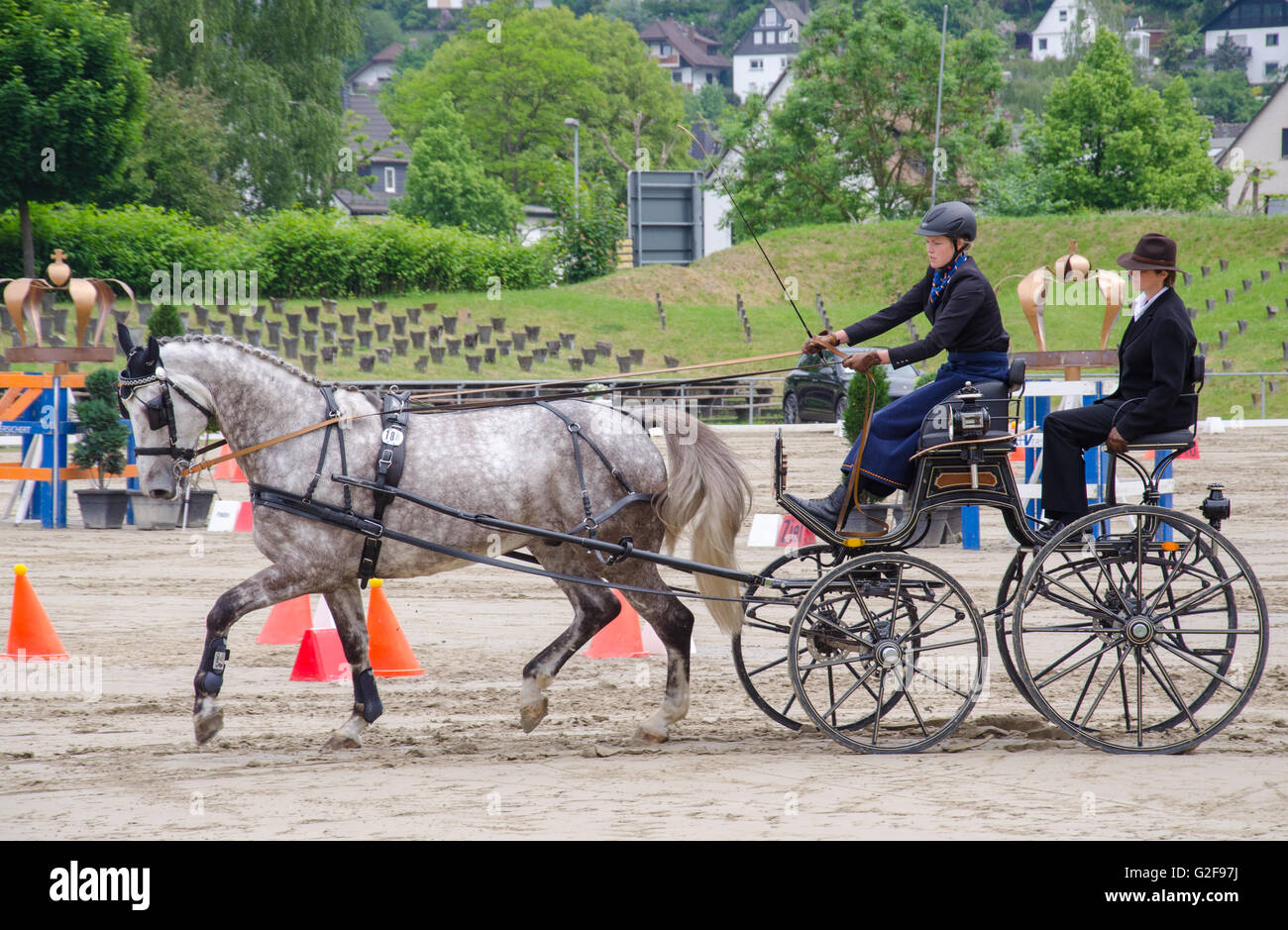 Ostacolo corso di gara internazionale di carrozza pullman racing a Dillenburg in Germania Foto Stock