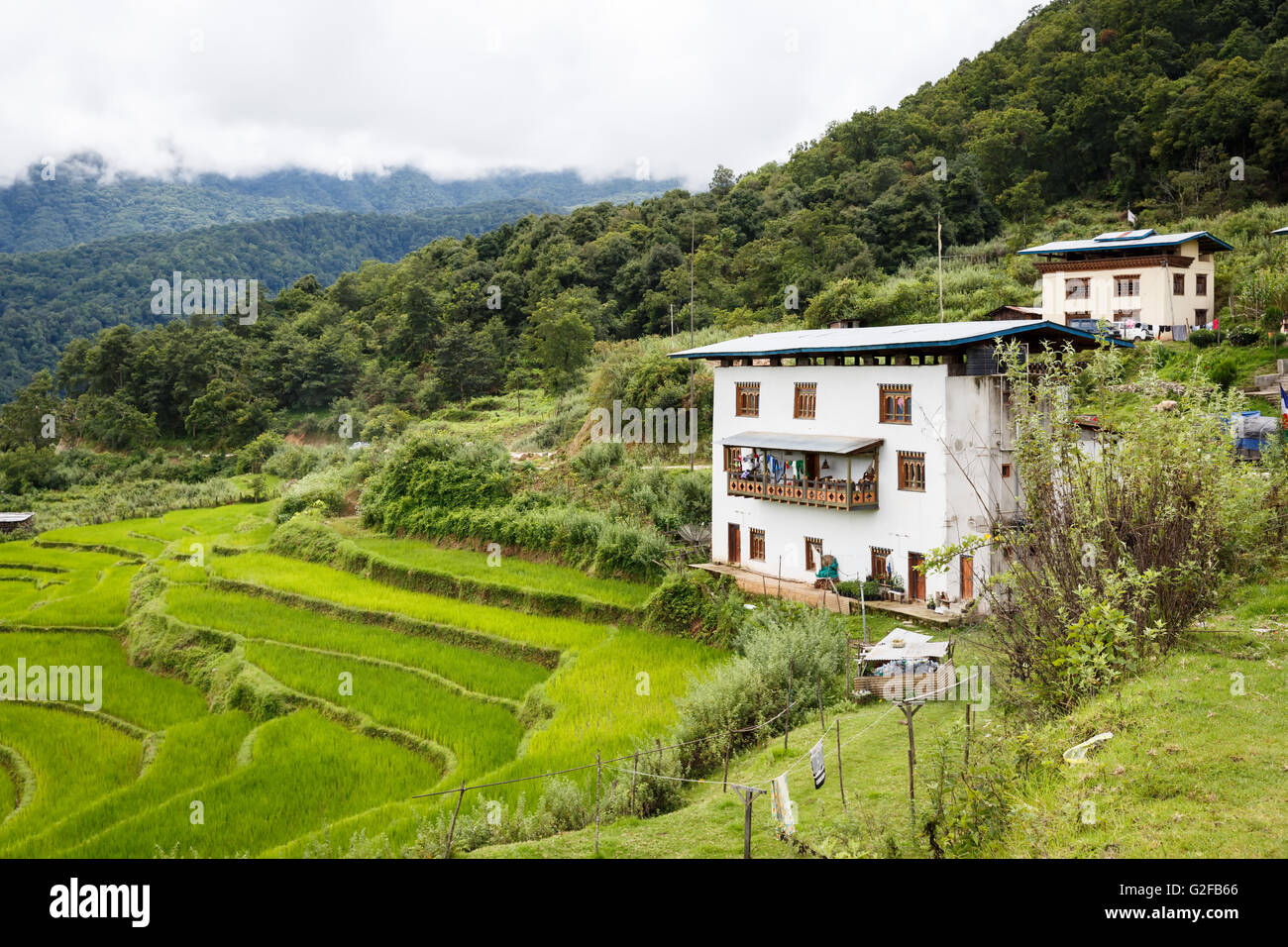 Agriturismi in Bhutan si affacciano su risaie a terrazza. Foto Stock