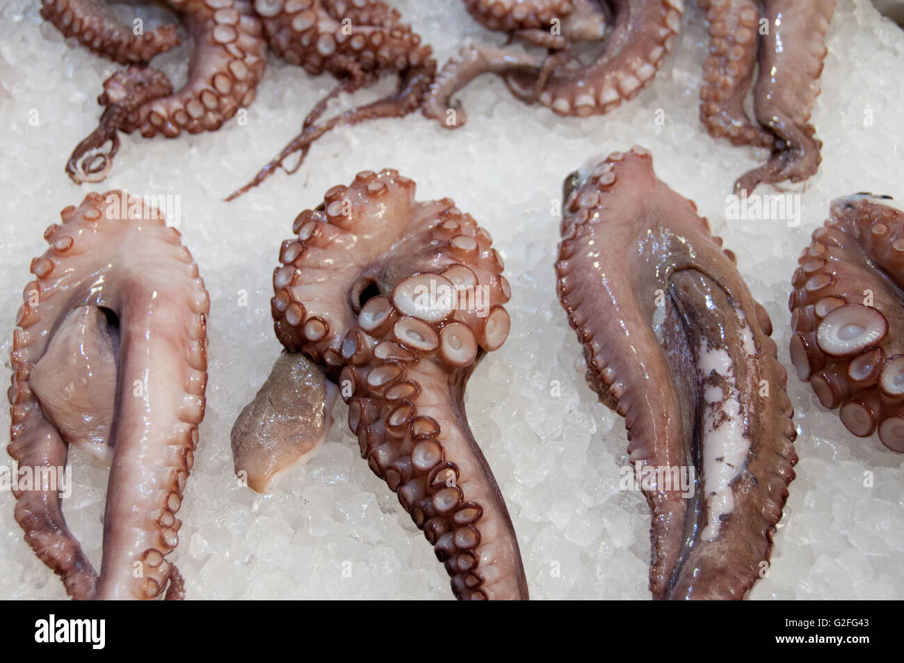 Il polpo fresco tentacoli con ventose saluto di frutti di mare al pesce e frutti street market in Omonia Monastriki Agorà di Atene. Foto Stock