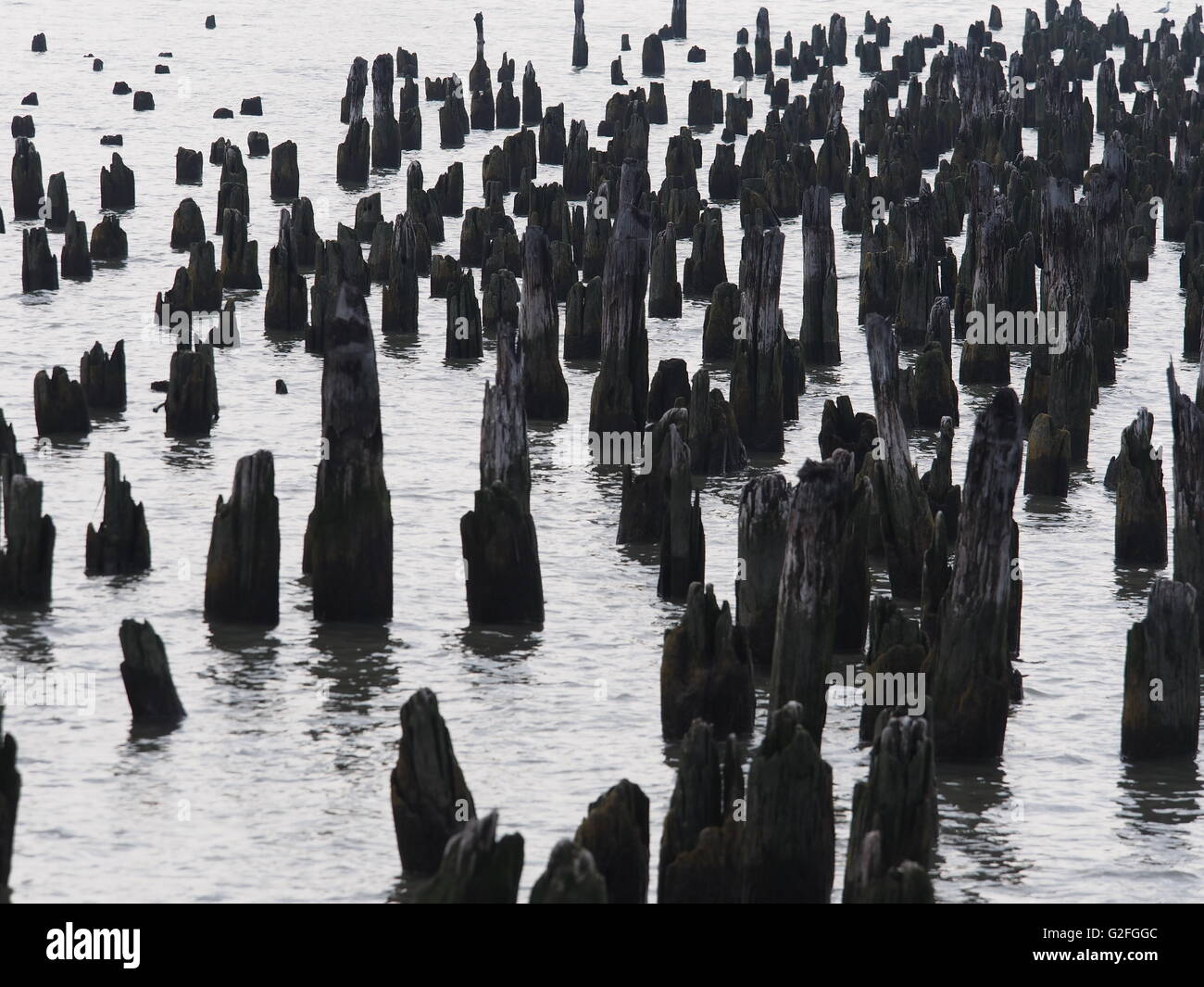 Pilastri abbandonati sul fiume Hudson Manhattan Foto Stock