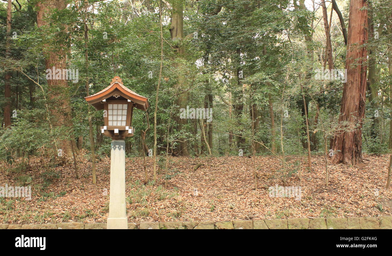 Un lampione a Meiji Jingu motivi, Harajuku, Tokyo, Giappone Foto Stock