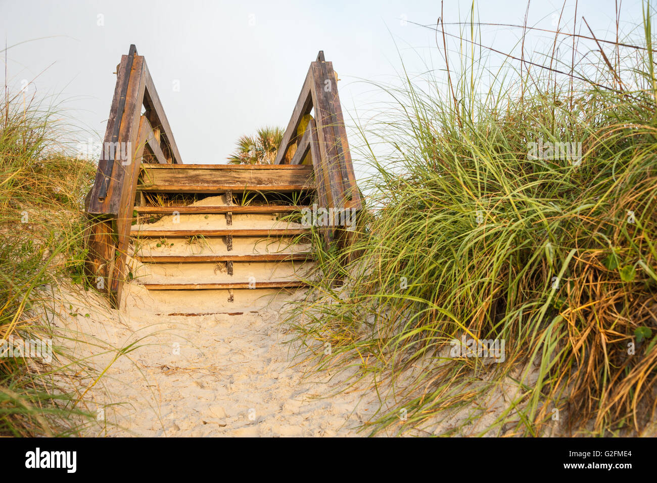 Accesso alla spiaggia attraverso le dune di sabbia in spiaggia di Jacksonville, Florida, Stati Uniti d'America. Foto Stock