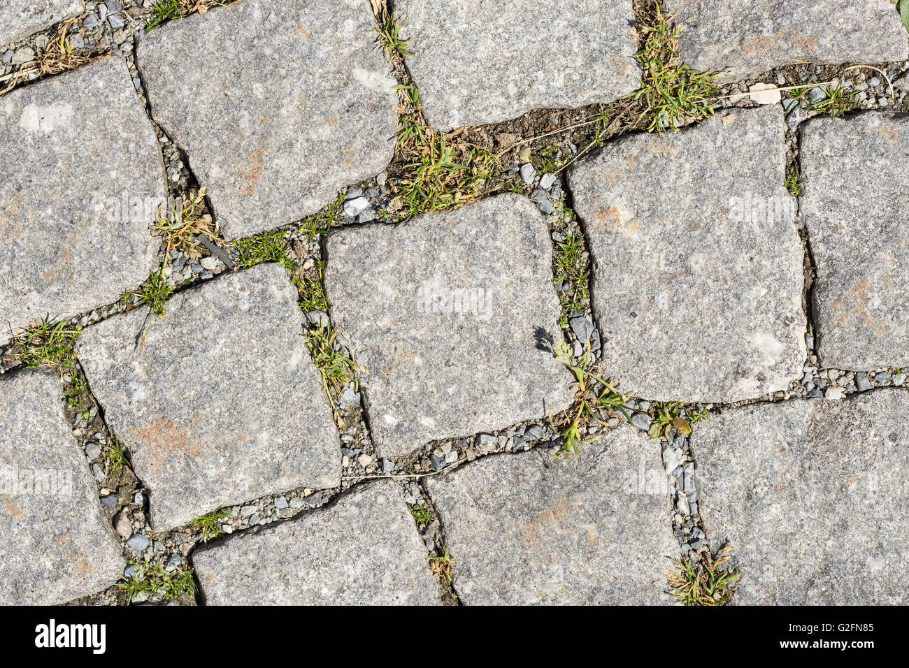 Vista su grigio pavimentazione di pietra dalle strade di Roma, Italia. Può essere utilizzato come sfondo o texture Foto Stock