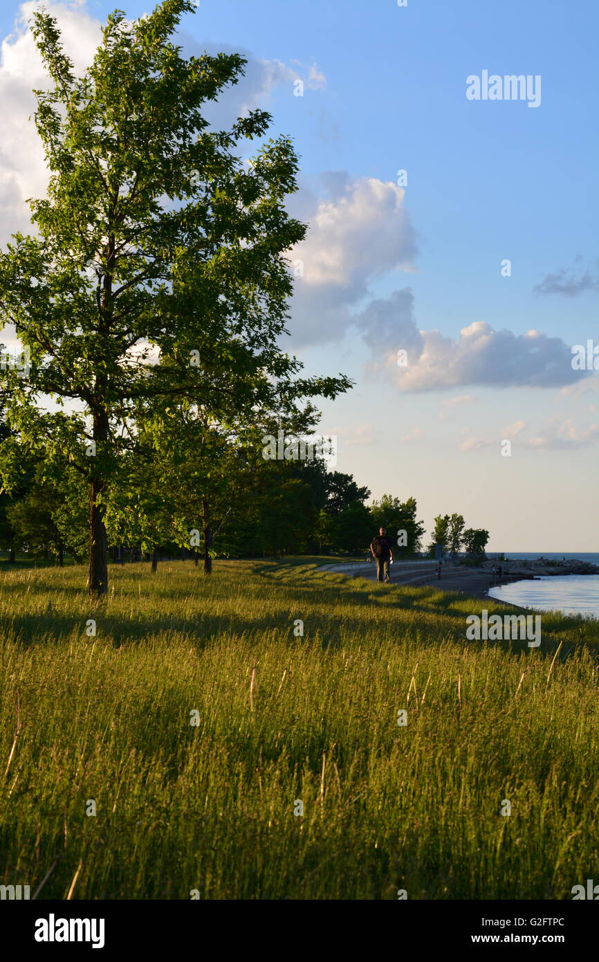 Il lago Michigan shoreline park al tramonto da Hyde Park quartiere su Chicago il lato sud. Foto Stock