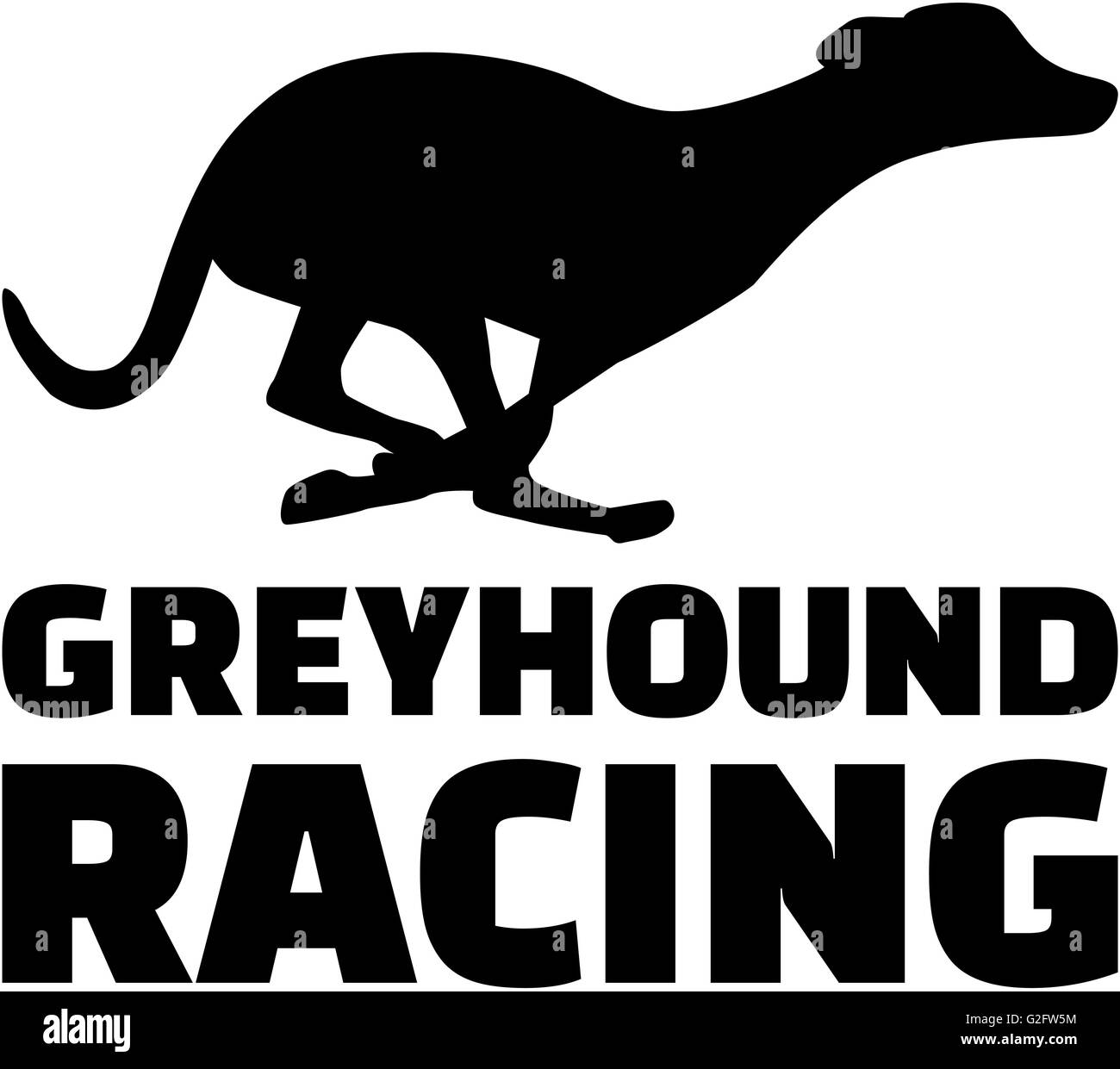 Cane Greyhound Racing Foto Stock