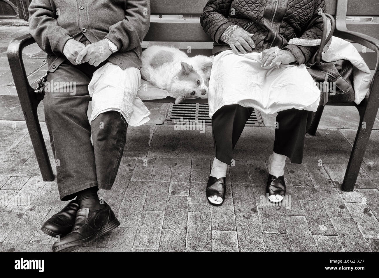 Coppia di anziani seduti sul sedile in posizione di parcheggio con il cane disteso tra di essi Foto Stock