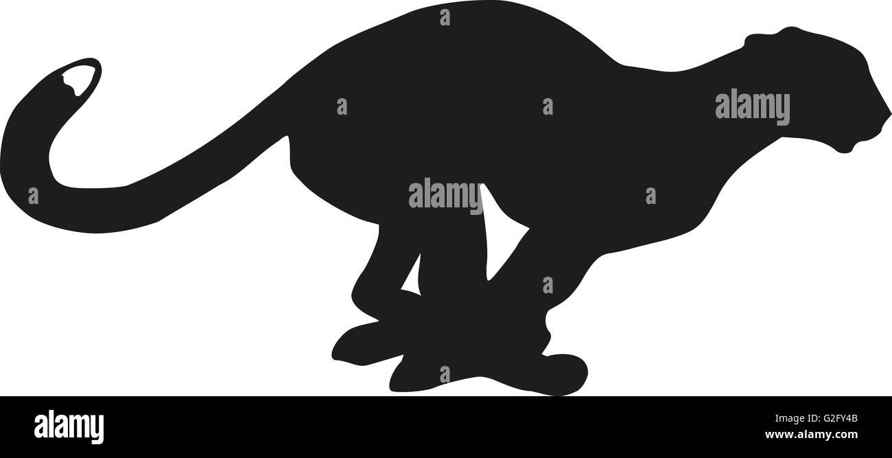 Con leopard silhouette Foto Stock