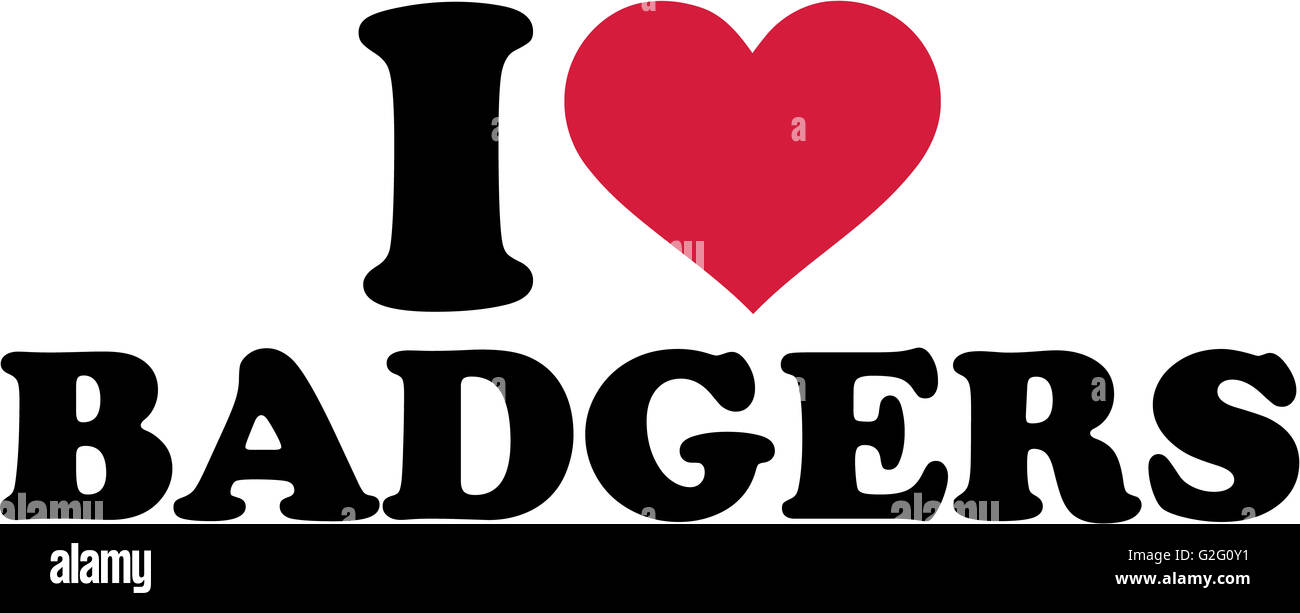 Io amo Badgers Foto Stock