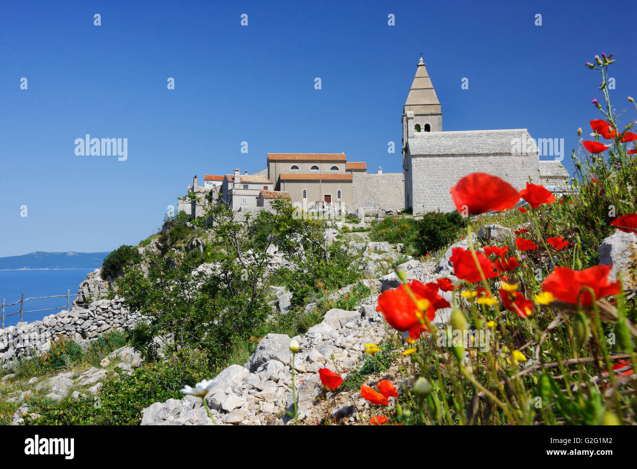 La zona collinare di Lubenice città sull'isola di Cres con semi di papavero fiori nella parte anteriore Foto Stock