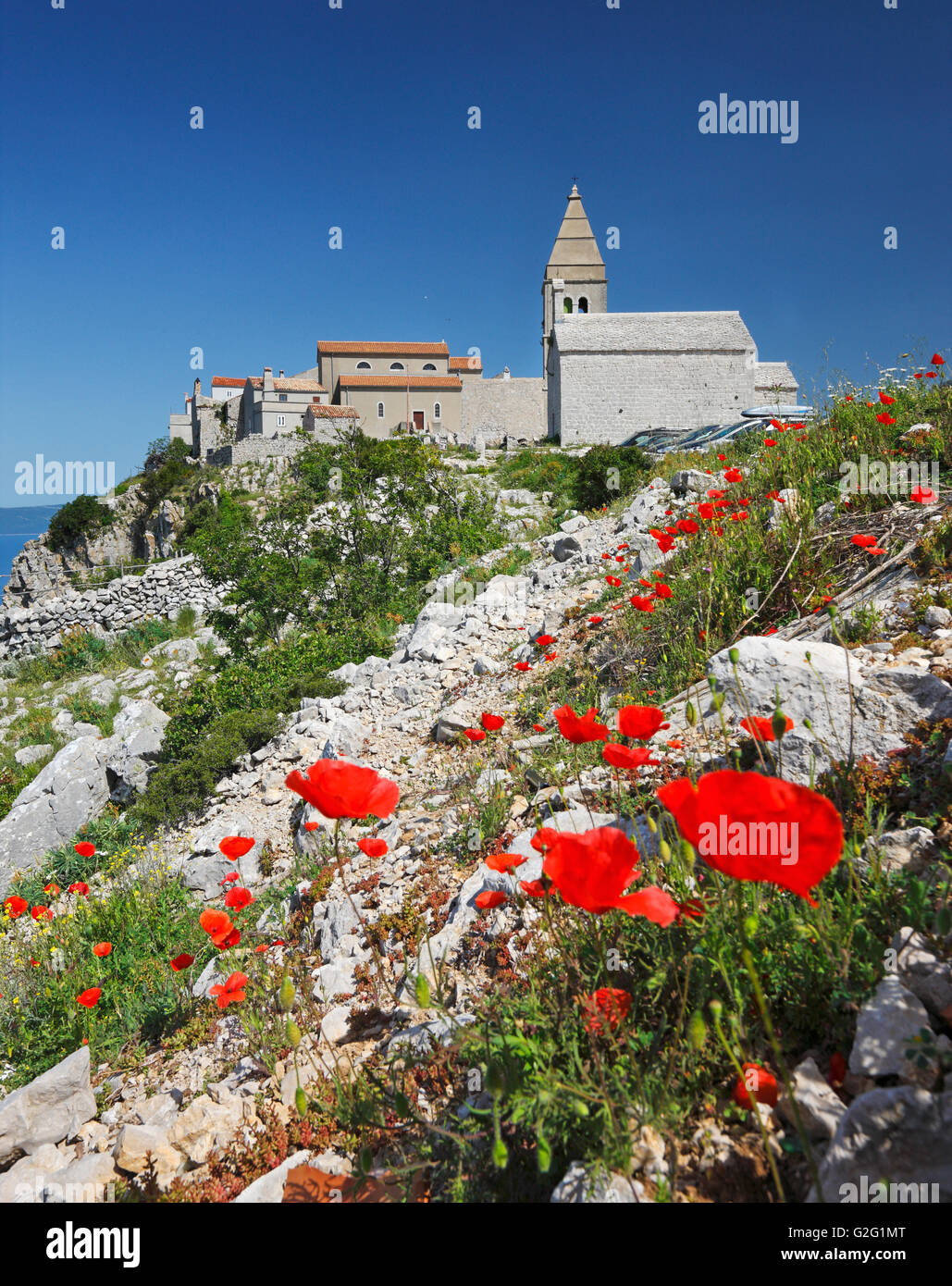 La zona collinare di Lubenice città sull'isola di Cres con semi di papavero fiori nella parte anteriore Foto Stock