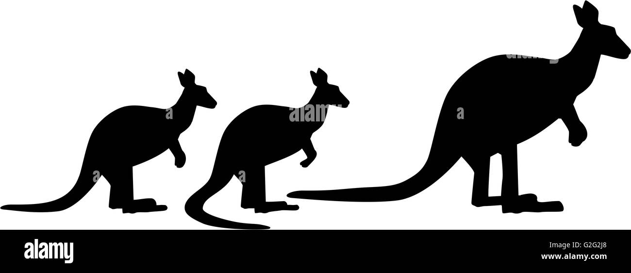 Kangaroo familiy Foto Stock