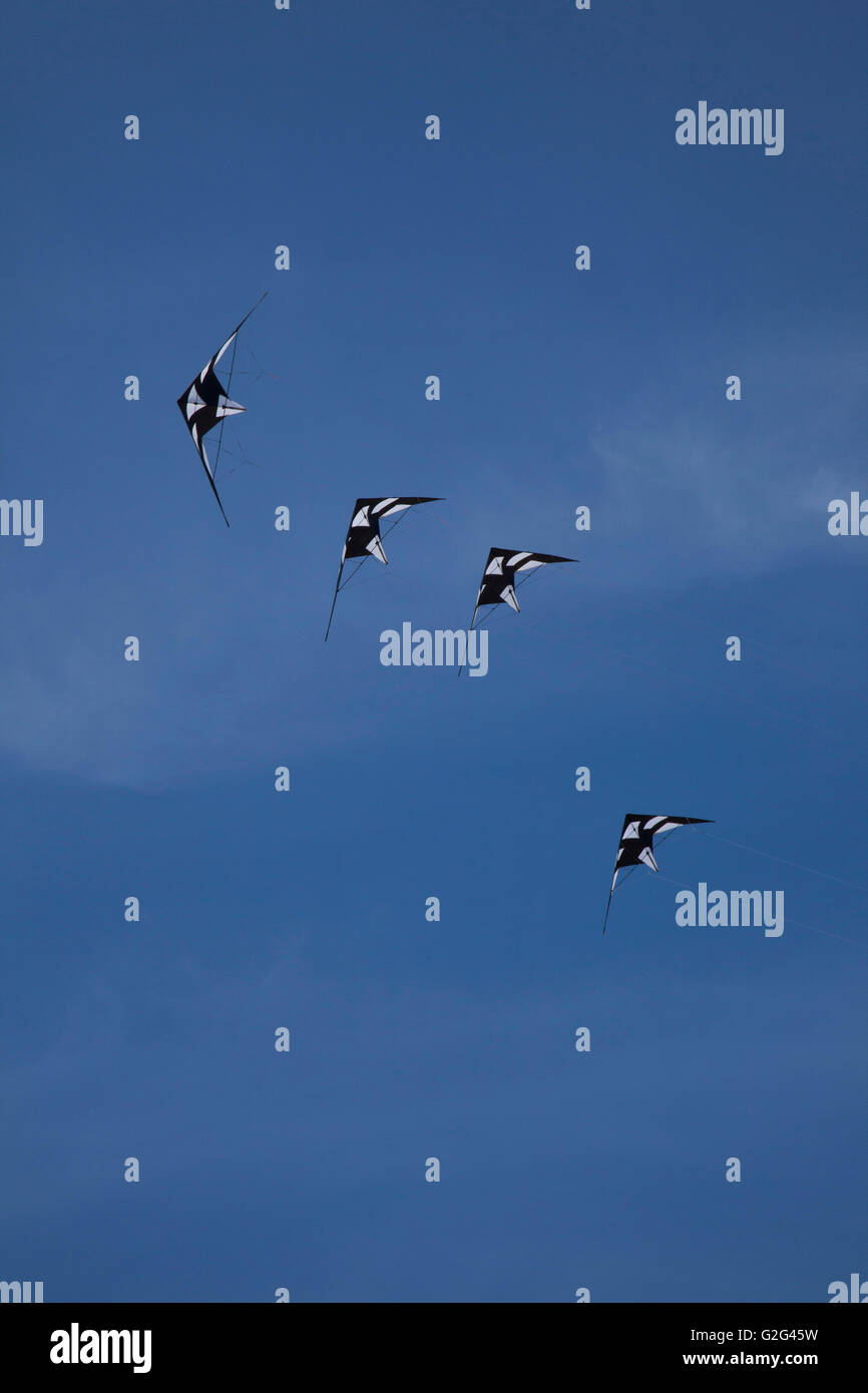 Quattro aquiloni battenti contro il cielo blu e a basso angolo di visione Foto Stock