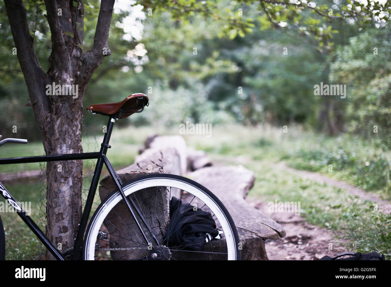 Bicicletta appoggiata ad albero Foto Stock
