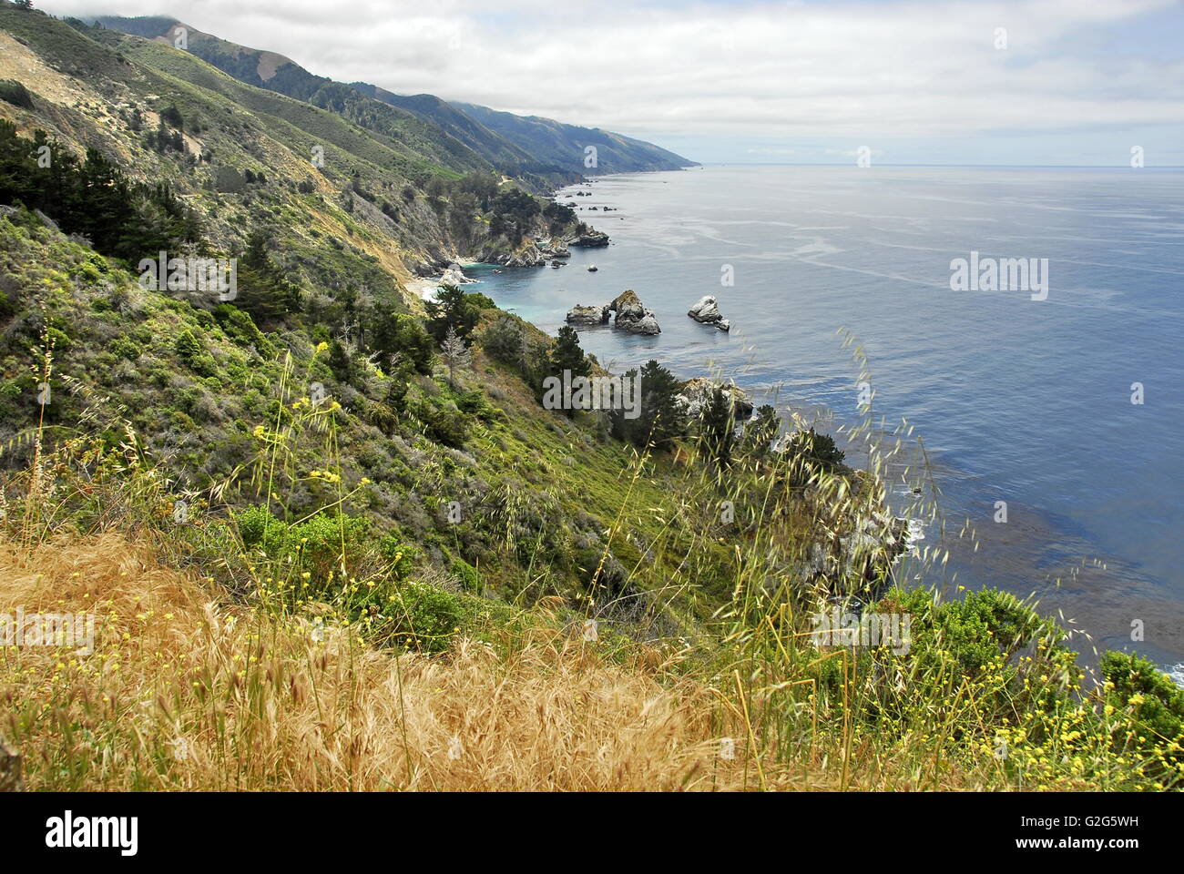 Il Big Sur Costa a Costa Centrale Californis lungo la California State Route 1 Foto Stock