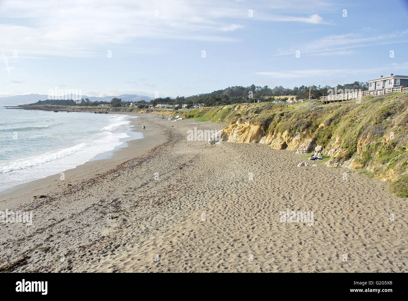 La pietra di luna Beach nella città di Cambria, California Foto Stock
