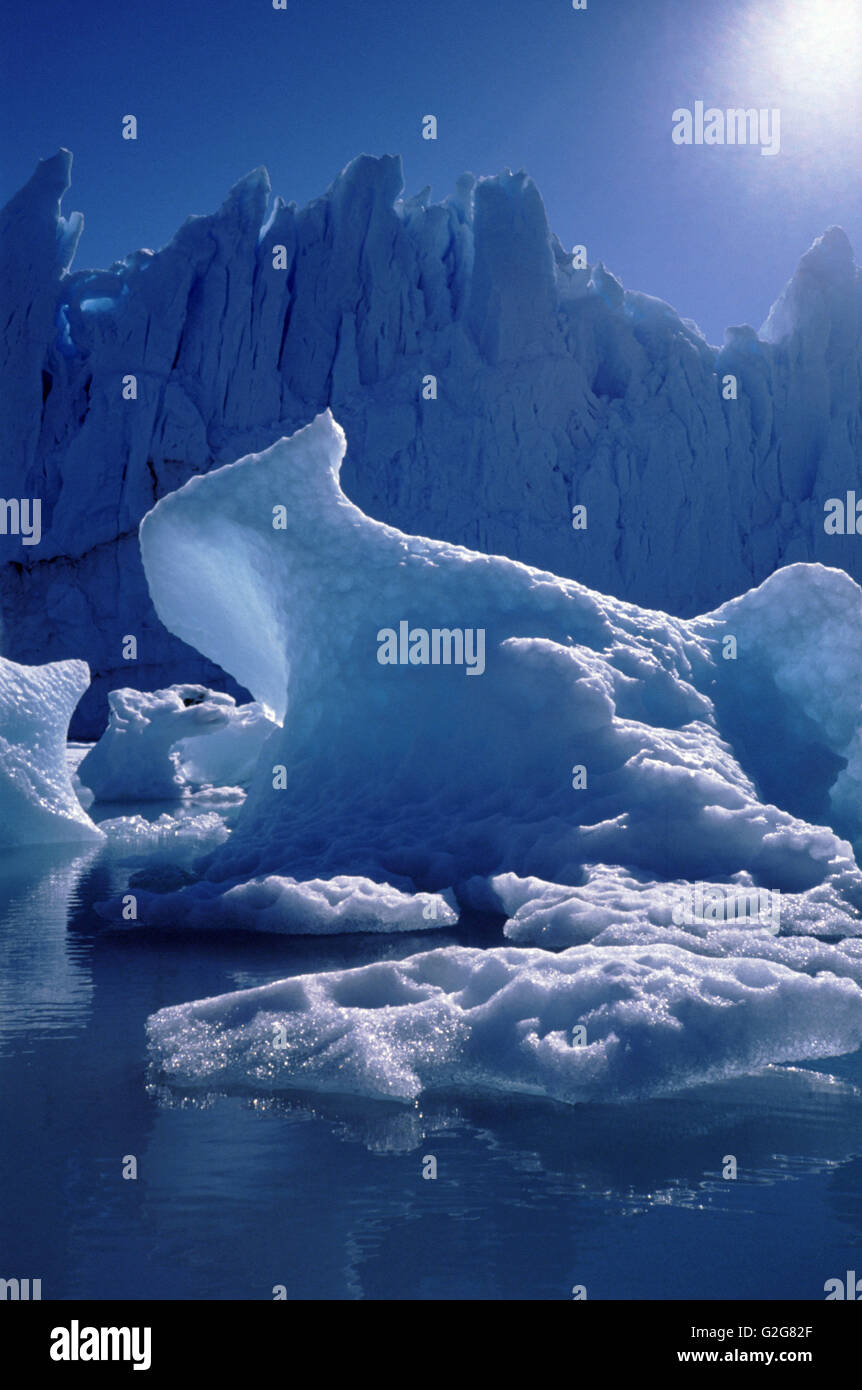 Il Ghiacciaio Perito Moreno è un ghiacciaio situato nel Los Glaciares Nacional park i Santa Cruz Provincia in Argentina Foto Stock