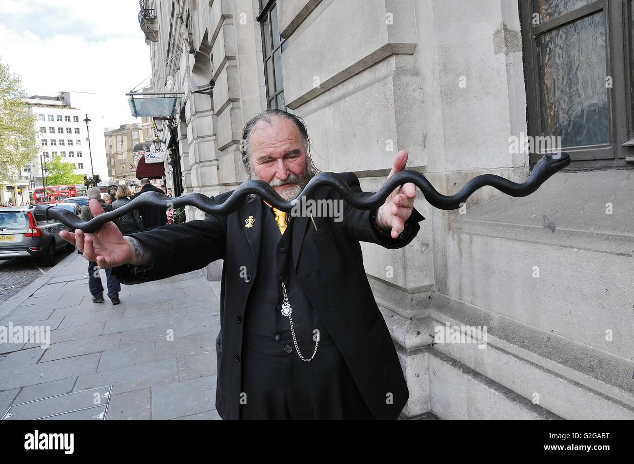 Un eccentrico di show-off sua a forma di serpente di canna da zucchero. Foto Stock