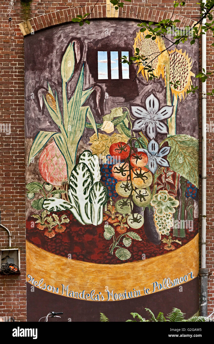 Street pittura murale di Nelson Mandela la cella del carcere con le verdure crebbe mentre era in prigione, Amsterdam, Paesi Bassi Foto Stock