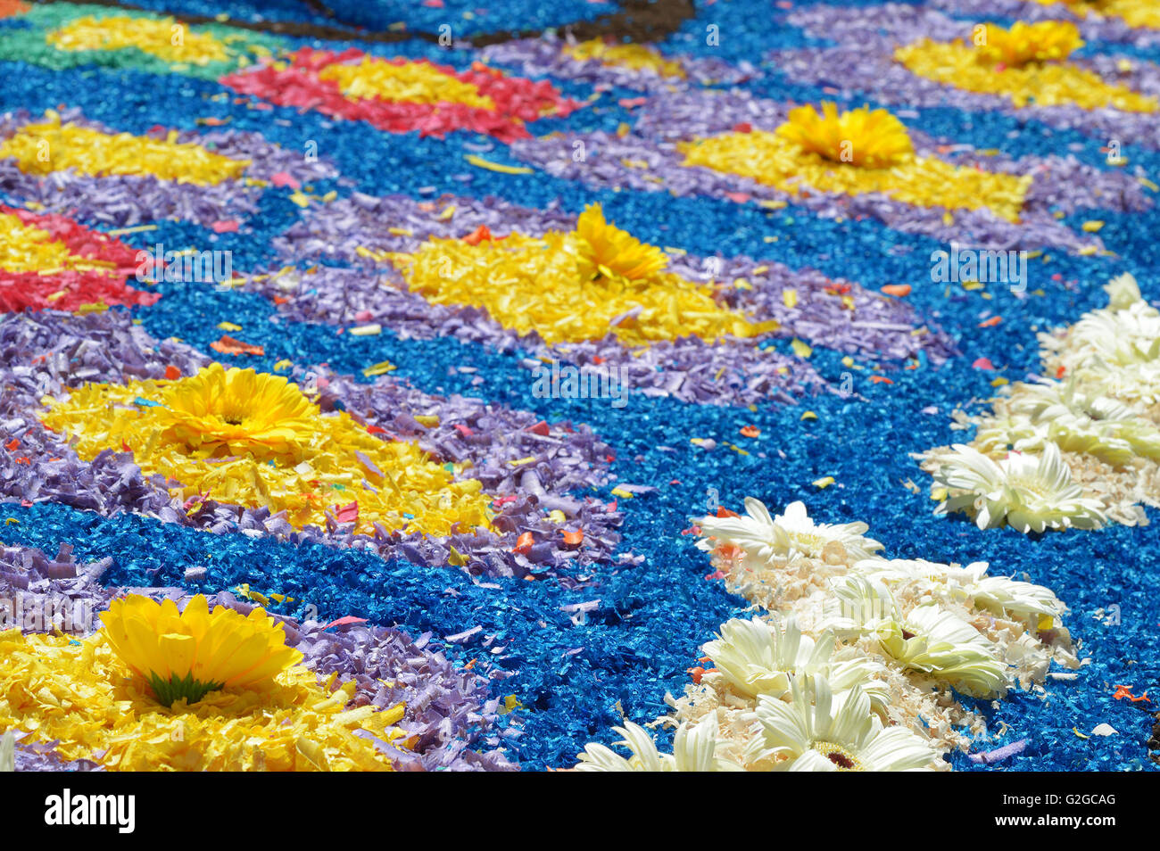 Dettaglio di un fiore decorate tappeto durante il Corpus Domini celebrazione Foto Stock