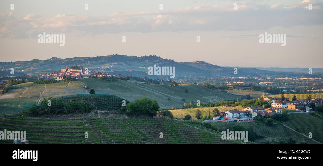 Vista del Barolo Vigneto con le colline del Roero in background visto da di La Morra Foto Stock