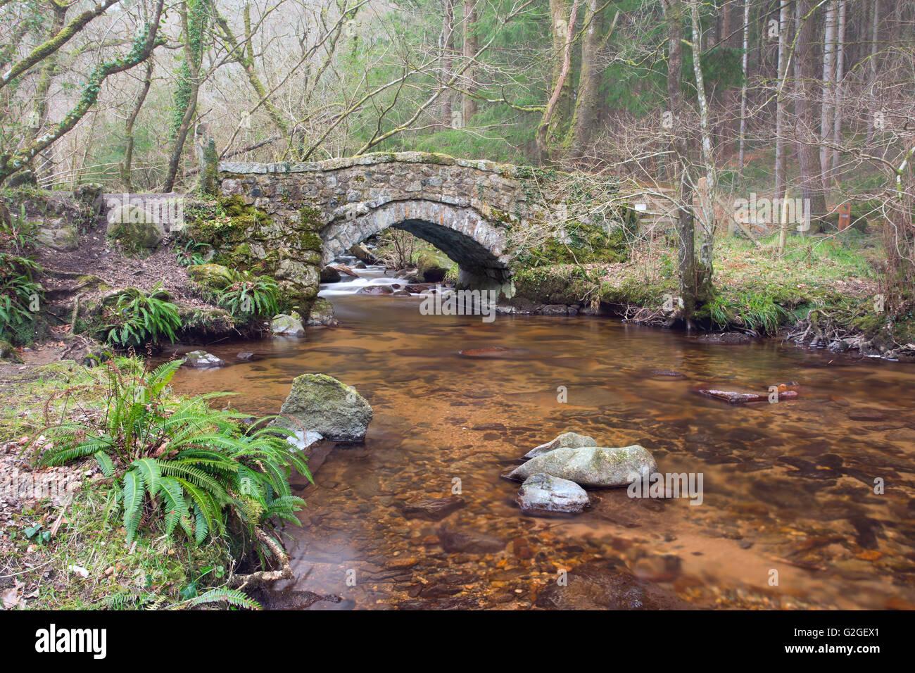 Hound Tor ponte sopra il fiume Bovey all'interno del Parco Nazionale di Dartmoor Foto Stock