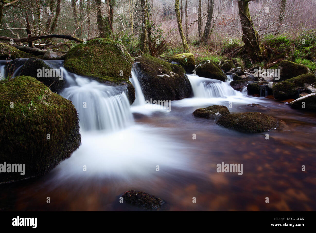 Una piccola cascata sul fiume Bovey all'interno del Parco Nazionale di Dartmoor Devon UK Foto Stock
