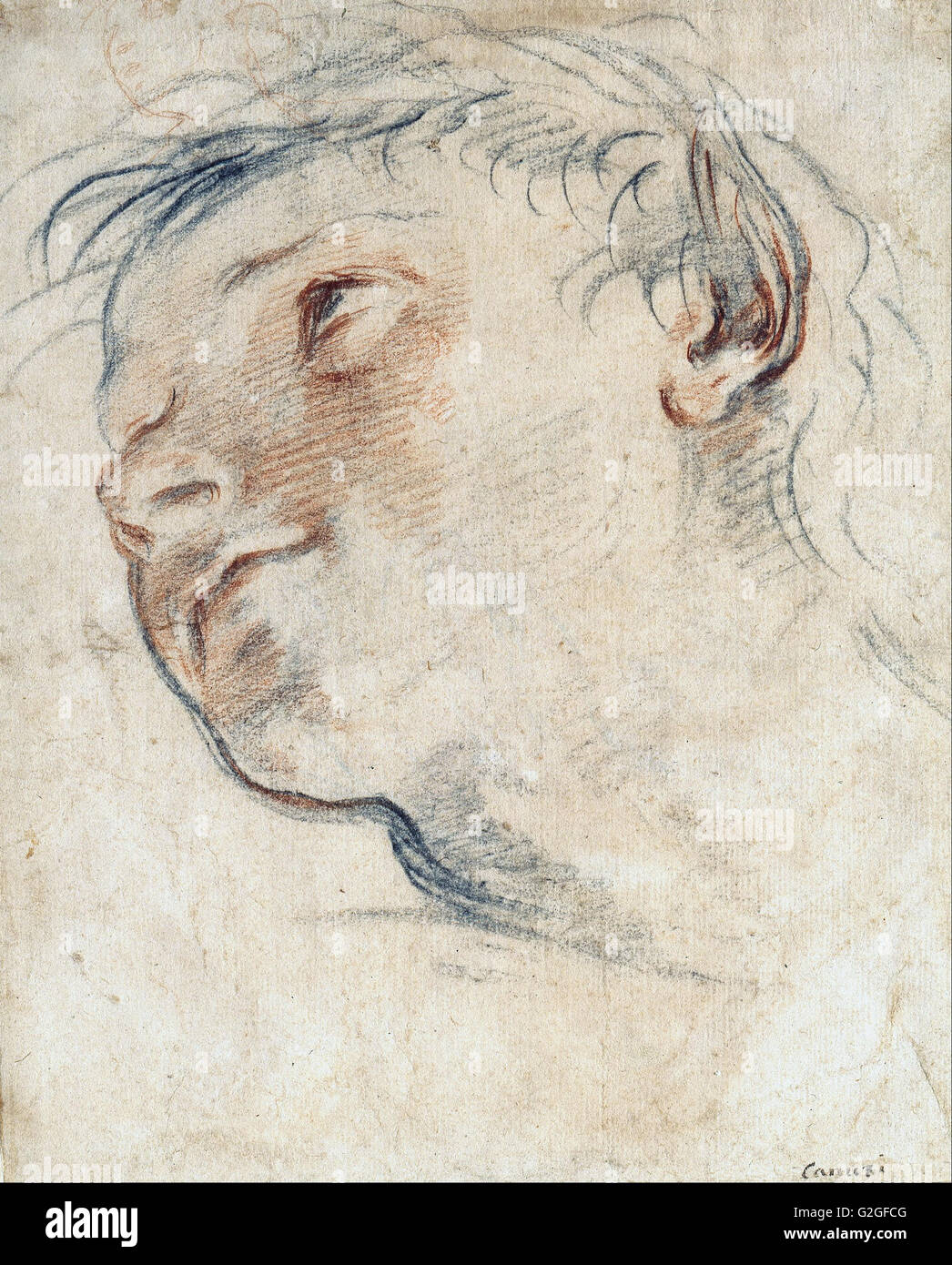 Testa di fauno immagini e fotografie stock ad alta risoluzione Alamy