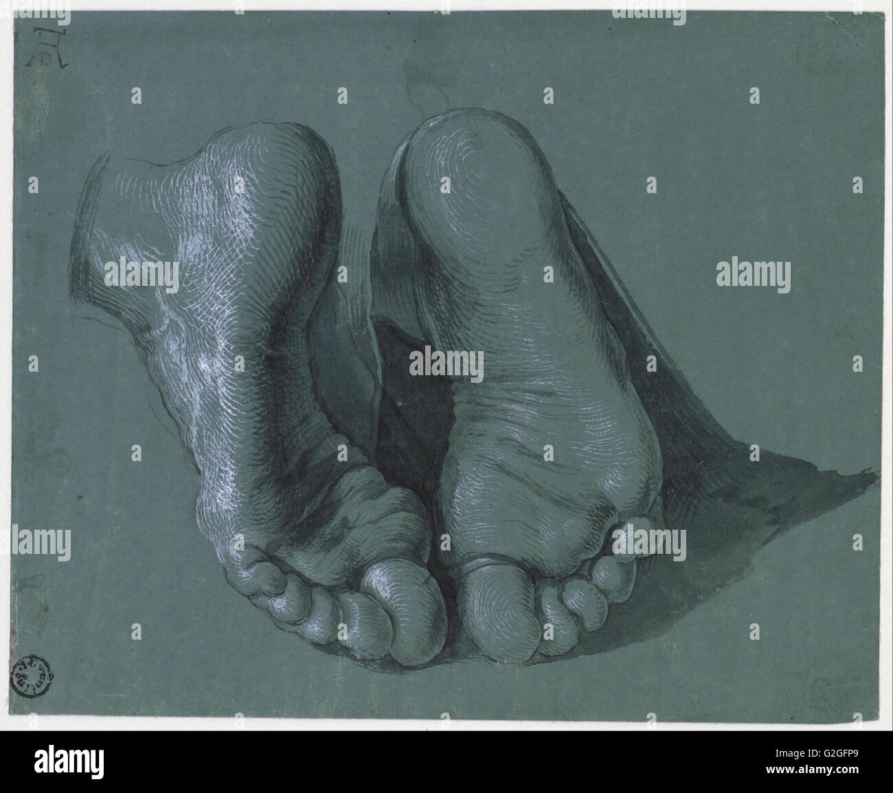 Albrecht Durer - studio di due piedi - Museo Boijmans Van Beuningen - Rotterdam Foto Stock