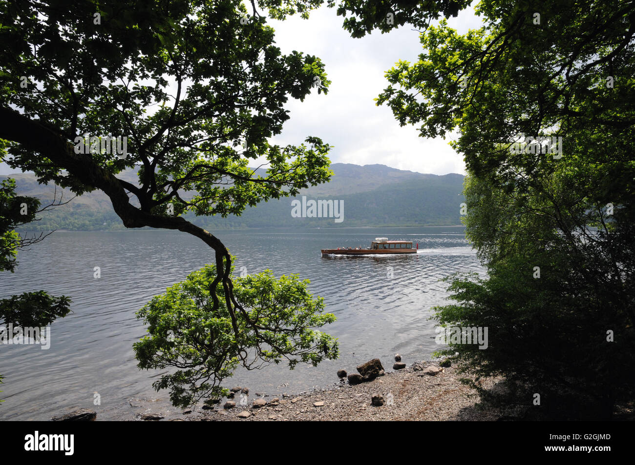 Una barca dal lancio di Keswick azienda passa in prossimità della estremità sud di Derwentwater nel Lake District inglese. Foto Stock